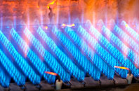 Swinton Park gas fired boilers